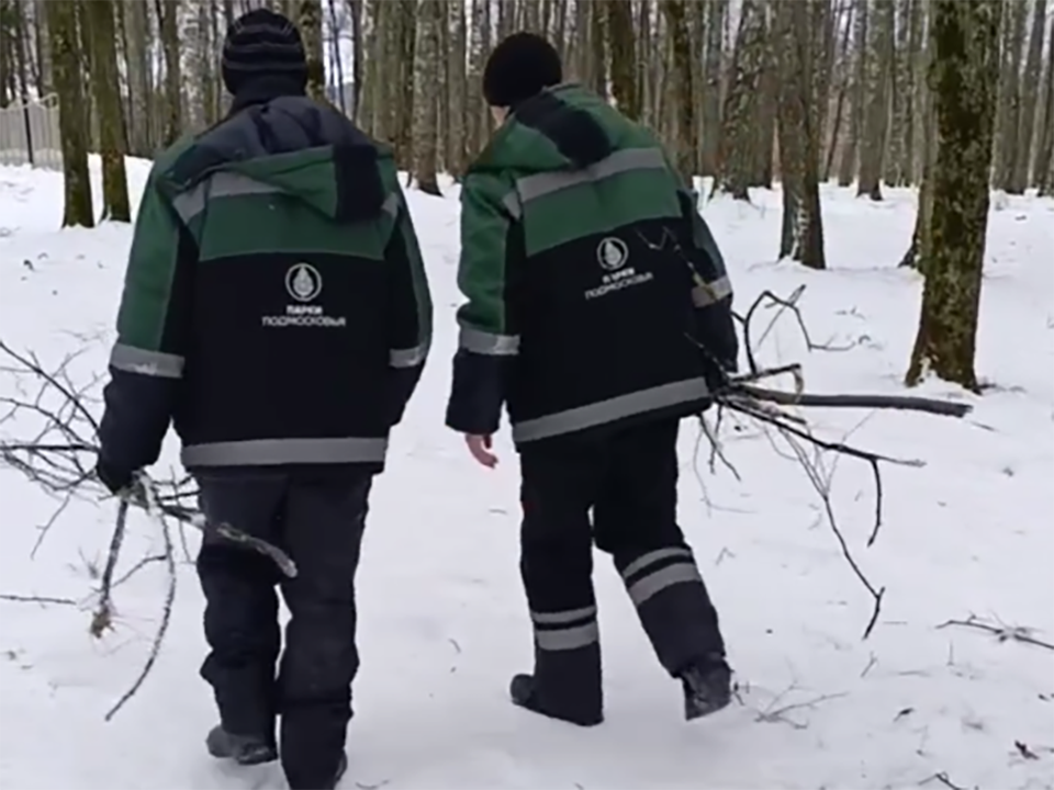 В парке Волоколамска убрали сухие сломанные ветки