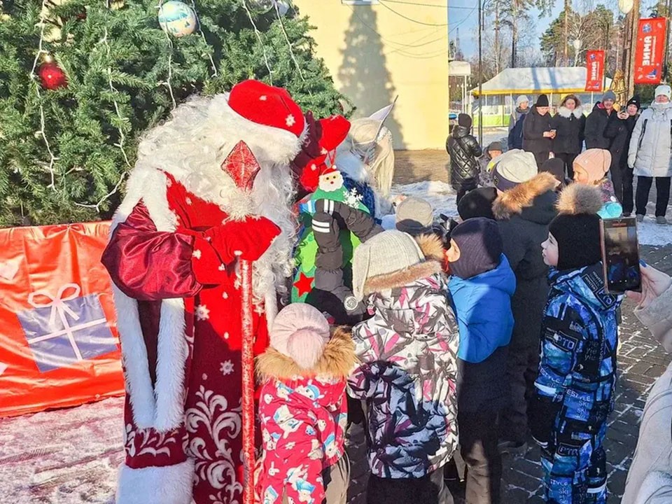 Катания в собачьей упряжке и мастер-классы ждут жителей Шатуры в Рождество