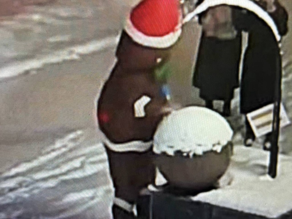Пряничный человек украл скульптуру мухи в Шатуре