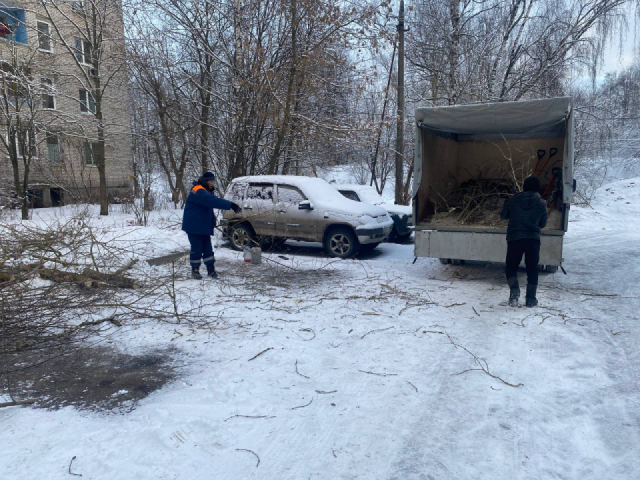 В Красноармейске вывезли дерево, упавшее во дворе на улице Морозова