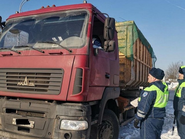 За незаконный сброс строительных отходов дмитровские нарушители заплатят штрафы