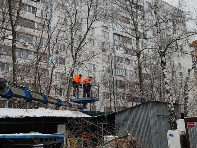 У больницы на улице Молодежной спилили аварийное дерево