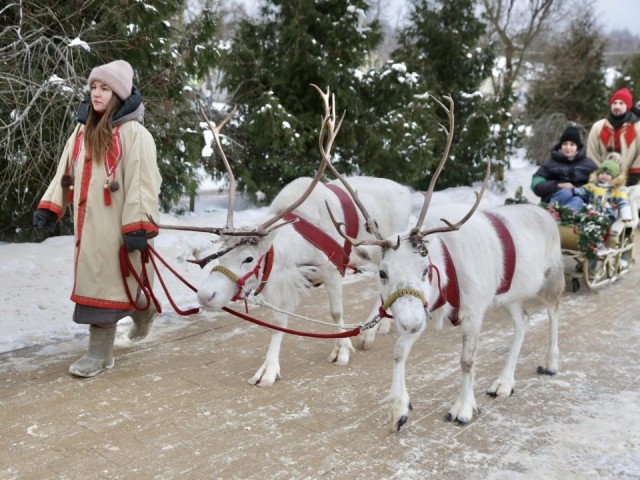 Почти 25 тыс. человек посетили Солнечногорский парк в новогодние праздники