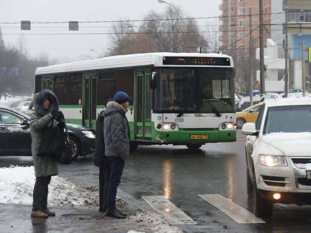 Полицейские в Пушкино призвали пешеходов к осторожности на дорогах