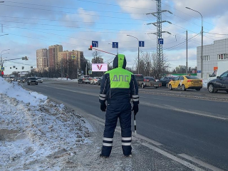 В Подольске поймали и оштрафовали двух водителей за незаконную перевозку отходов