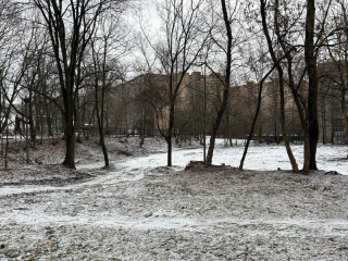 На месте заброшенного здания детского сада в Лыткарине появится новый парк