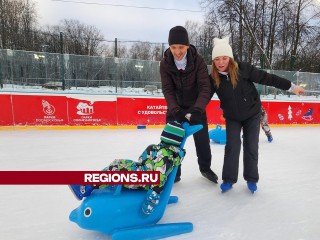 Парк Солнечногорска в новогодние праздники посетили около 7 тыс. человек