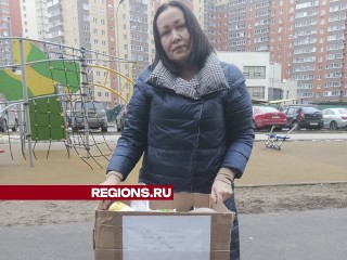 Свет, уют и тепло передали жители Спасского бульвара бойцам СВО