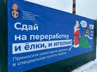 В Подольске новогоднюю ель можно сдать на переработку в пункты по восьми адресам