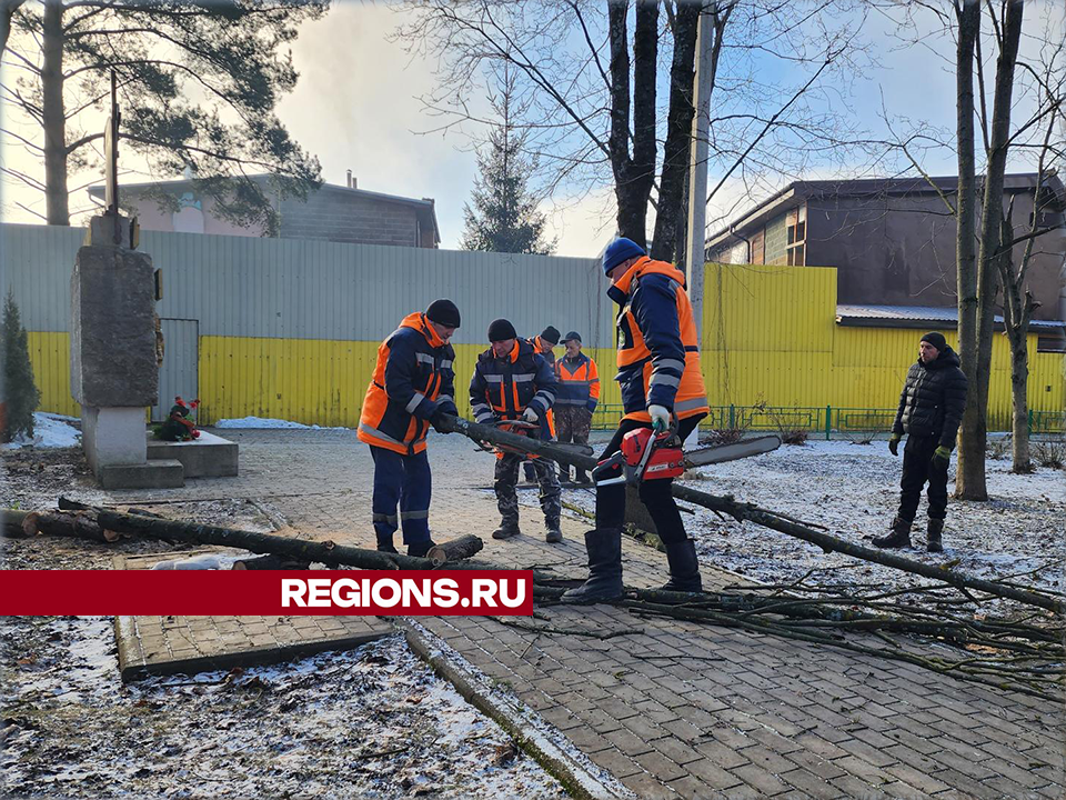 В Снегирях убрали сухие деревья рядом с мемориалом