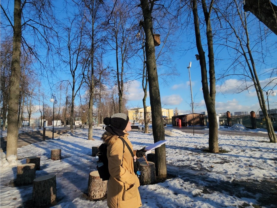 В национальный реестр включили 72 дерева-долгожителя из Подмосковья