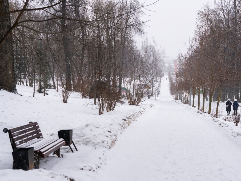 Оттепель вернется в Подмосковье после 20 февраля