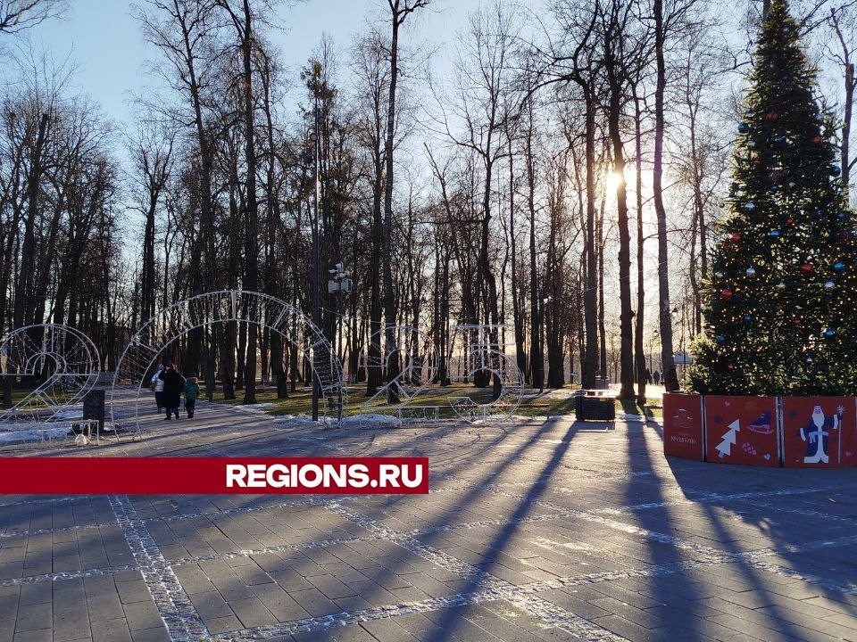 Караоке или скандинавская ходьба: чем заняться на неделе в воскресенских парках