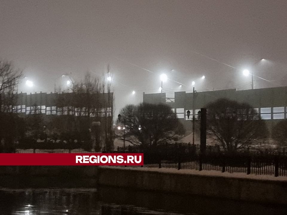 Экологи в Мытищах объяснили, какие показатели говорят о загрязнении воздуха