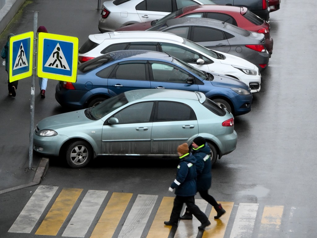 Единую бесплатную парковку для многодетных хотят ввести в Подмосковье и Москве