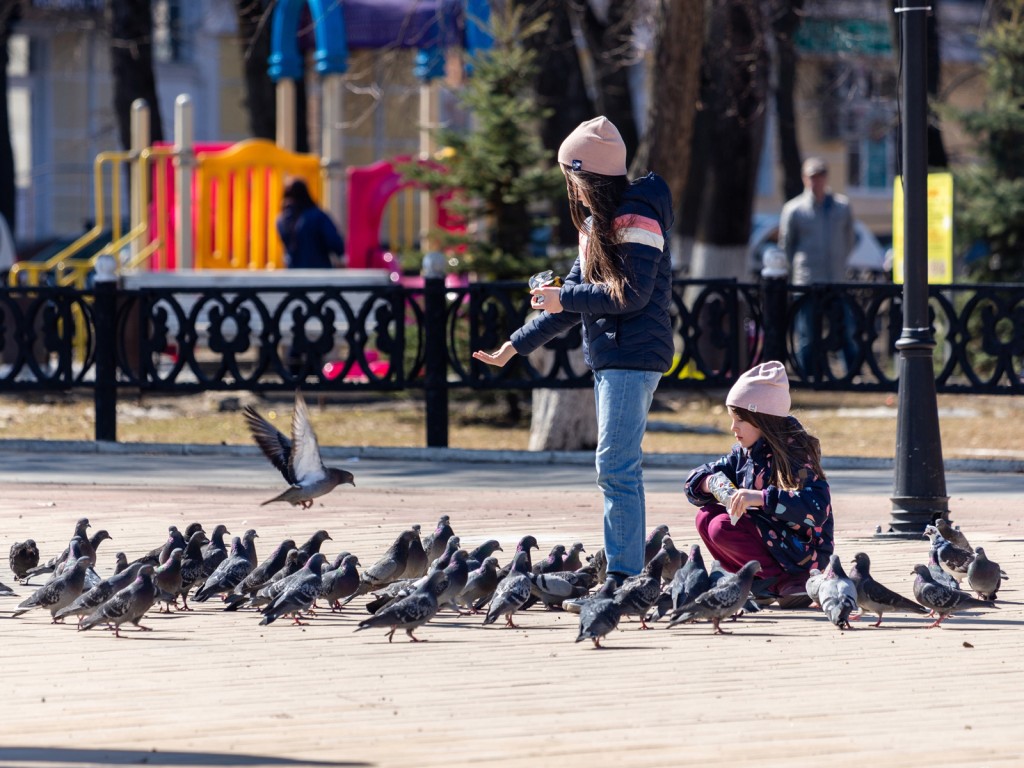 Весна будет ранняя, но может сработать 12-летний цикл погоды