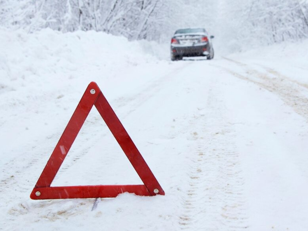 Олень погиб в аварии под Серпуховом