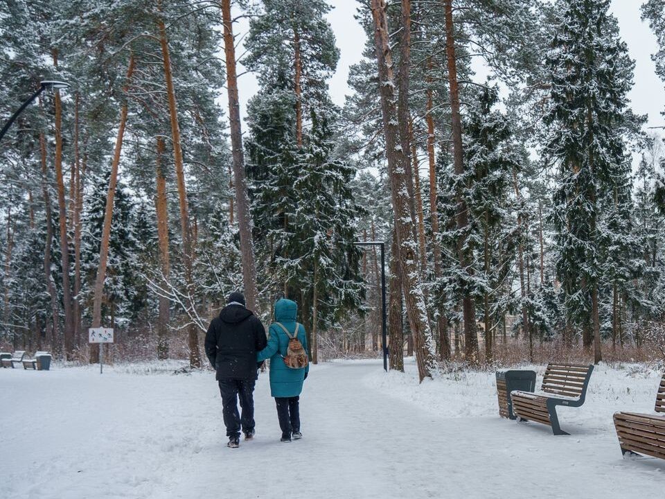 В Московскую область придут Сретенские морозы