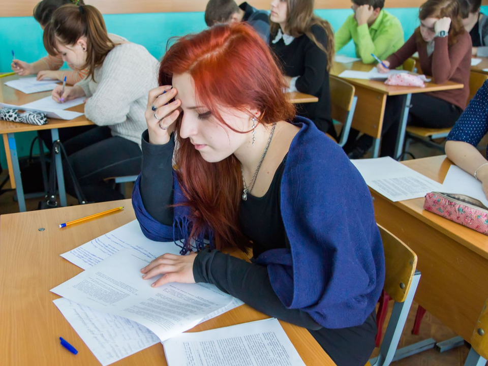 Для школьников Подмосковья призвали сохранить ключевые преимущества ЕГЭ