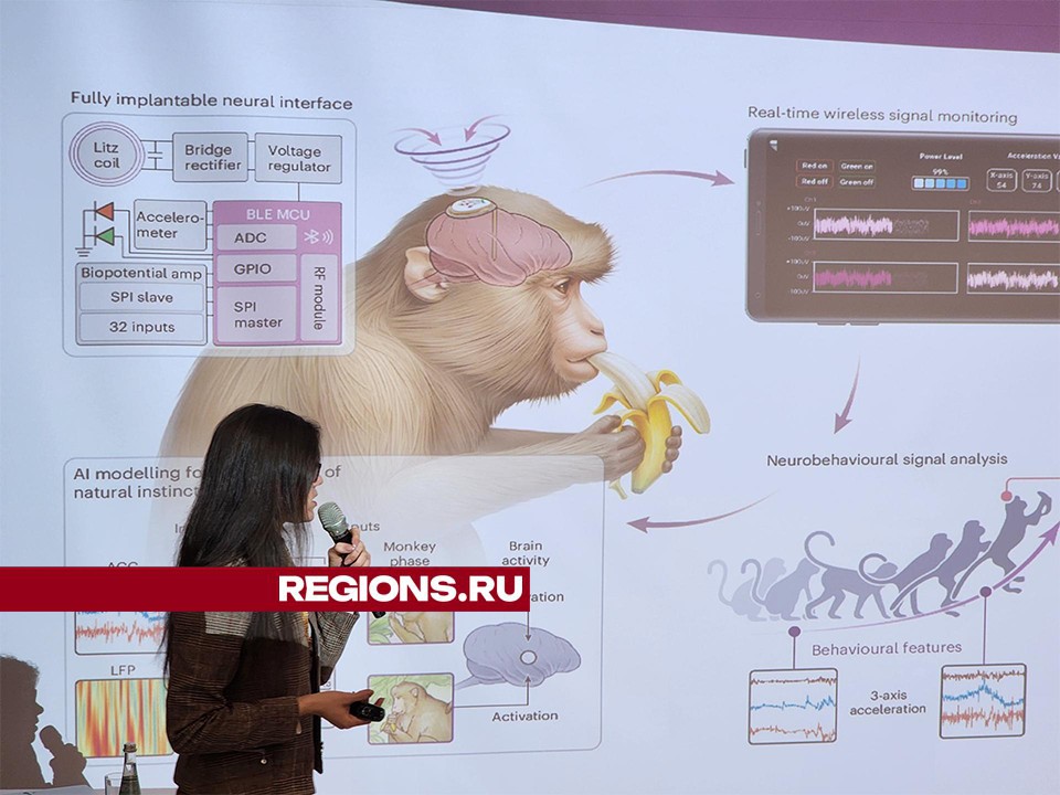 Как кошки понимают слова и почему депрессию нельзя вылечить спреем рассказали на мероприятии в Долгопрудном