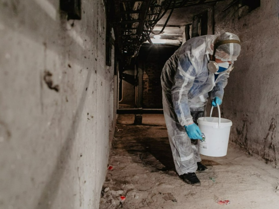 В доме 56 на Юбилейном проспекте провели дератизацию