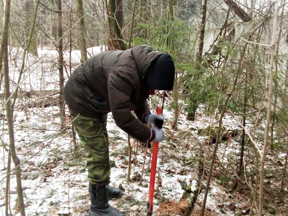 Наполовину упавшие деревья уберут из лесов Ивантеевки