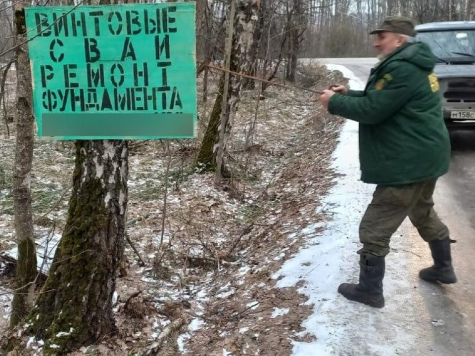 Лесничие очистили от незаконной рекламы участок леса в Чехове