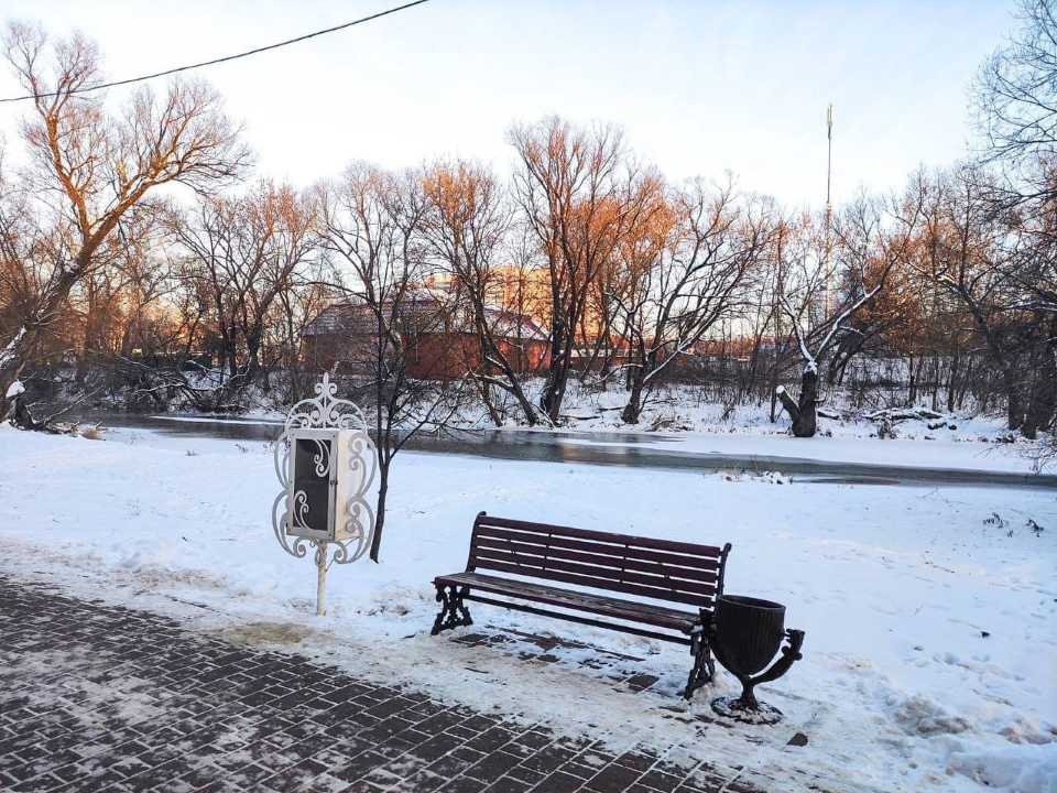 Буккроссинг предлагают жителям Чехова в городском парке