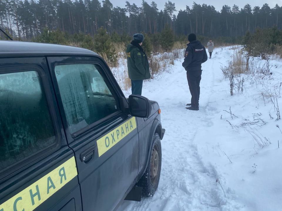 В Волоколамске проверят около 130 тыс. км территорий, чтобы не допустить пожаров