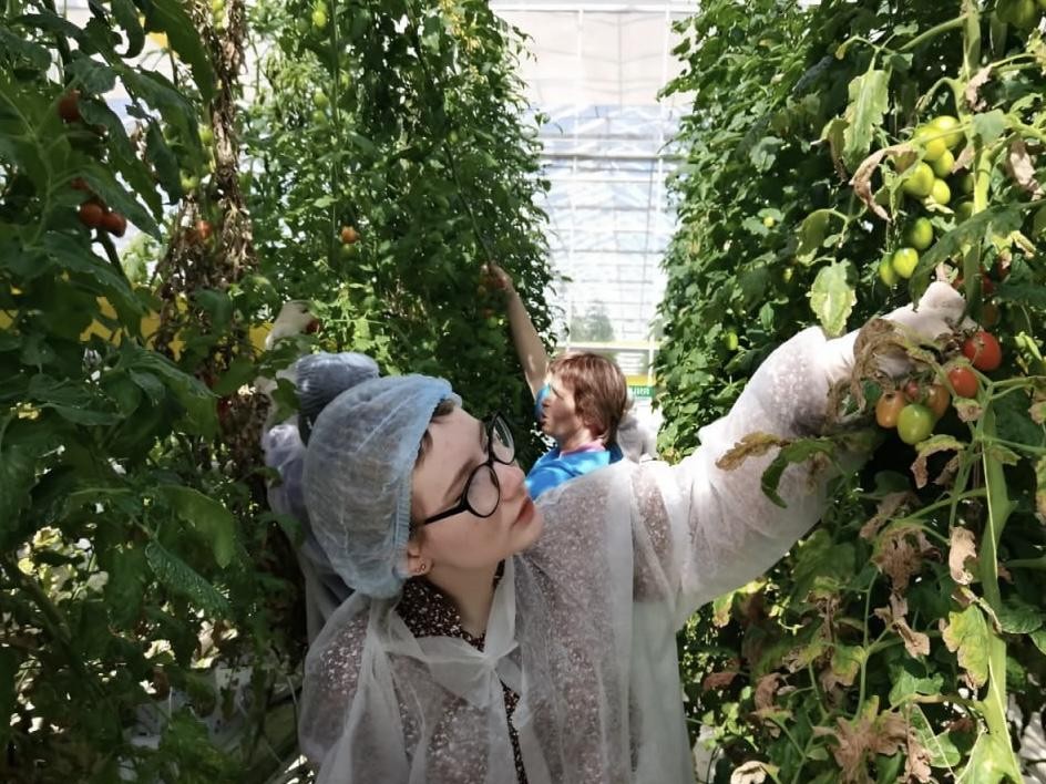 Подмосковные студенты могут выиграть 100 тыс. руб. в проекте от «ЭКО-культуры»