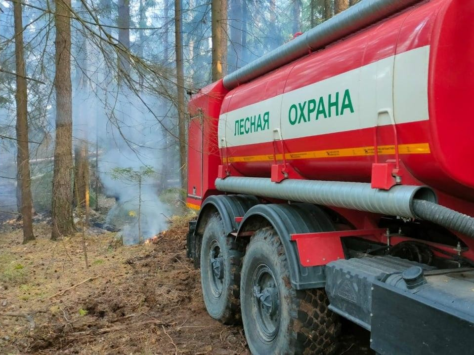 В Подмосковье началась активная подготовка к пожароопасному сезону