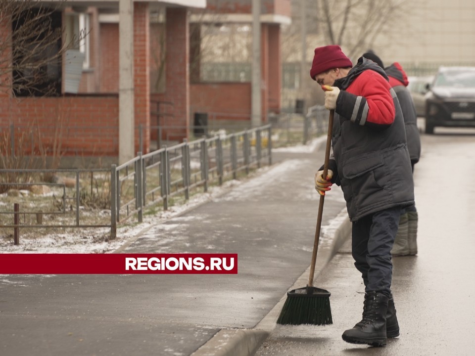 Озеленение проведут в микрорайонах Тополек и Школьный во Власихе