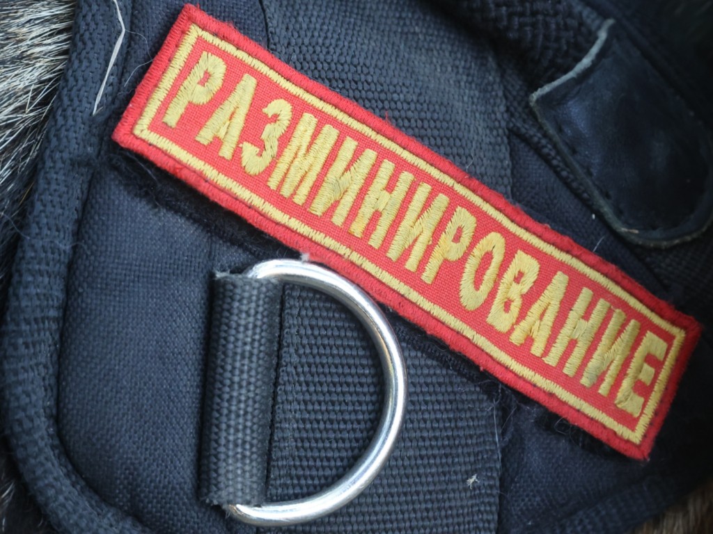 В Подмосковье за сутки «заминировали» 1,3 тыс. объектов
