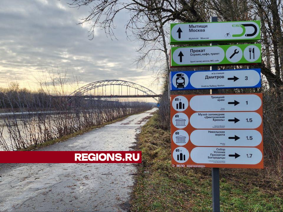 В Дмитровском округе ищут решение для строительства дороги к СНТ «Текстильщик»