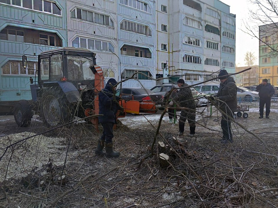 Коммунальщики в селе Пышлицы убрали сухостой и упавшие деревья