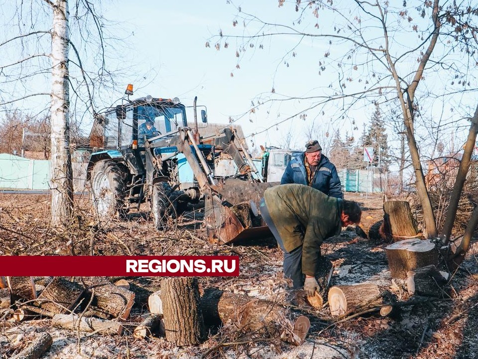 В микрорайоне Чепель клинские коммунальщики убрали аварийное дерево