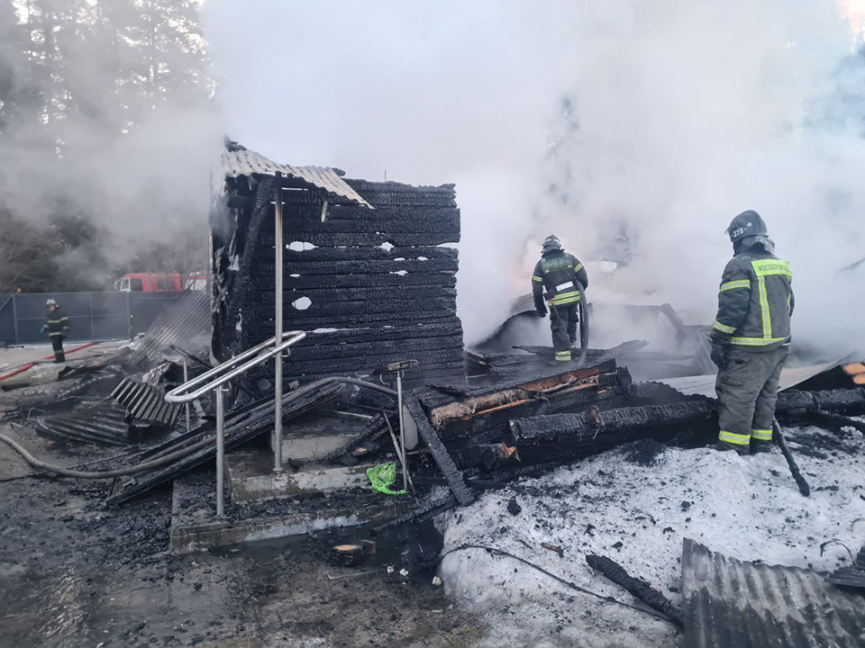 Две женщины с домашними животными погибли в Зеленоградском в страшном пожаре