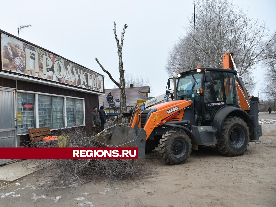 Коммунальщики Лотошина убрали аварийное дерево в Ивановском