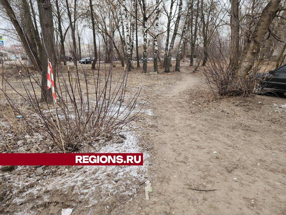 На улице Красина рассмотрят возможность благоустройства «народной тропы»