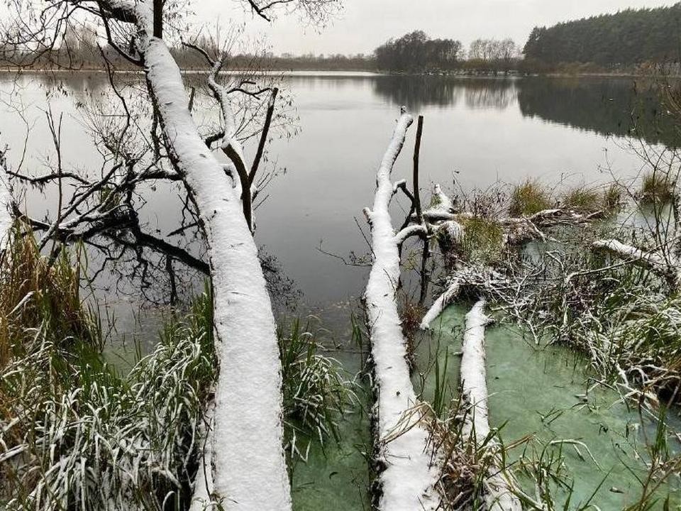 Самострой на берегу Икшинского водохранилища снесут по требованию прокуратуры