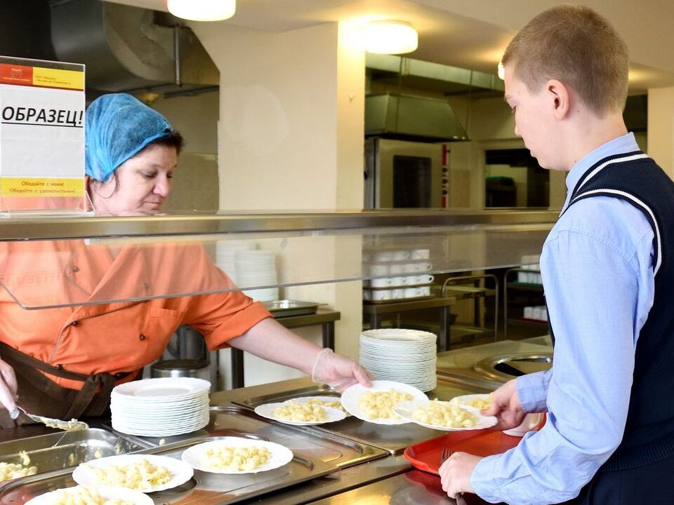 Детский омбудсмен Подмосковья призвала жестко наказывать за халтуру в школьных столовых