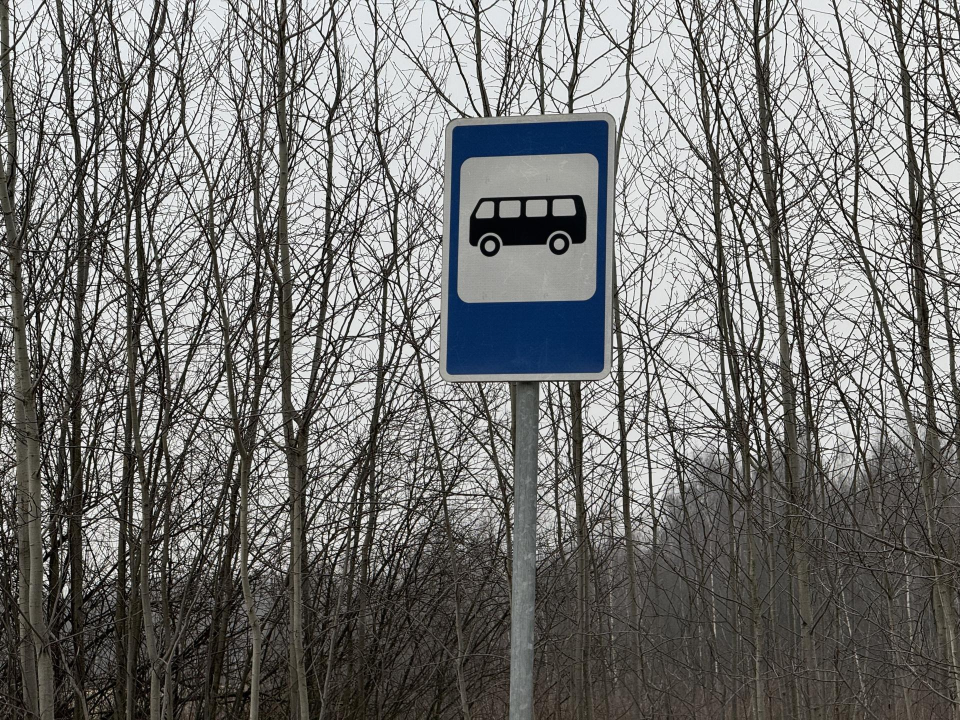 В Петровское будет чаще заезжать автобус
