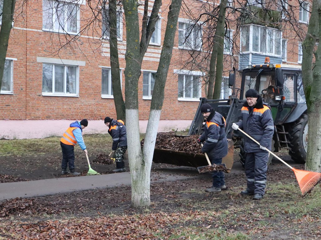 Коммунальщики Серебряных Прудов в начале февраля вместо снега убирают листву