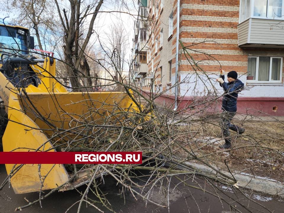 Коммунальщики вывезли опиленные ветки из дворов Климовска