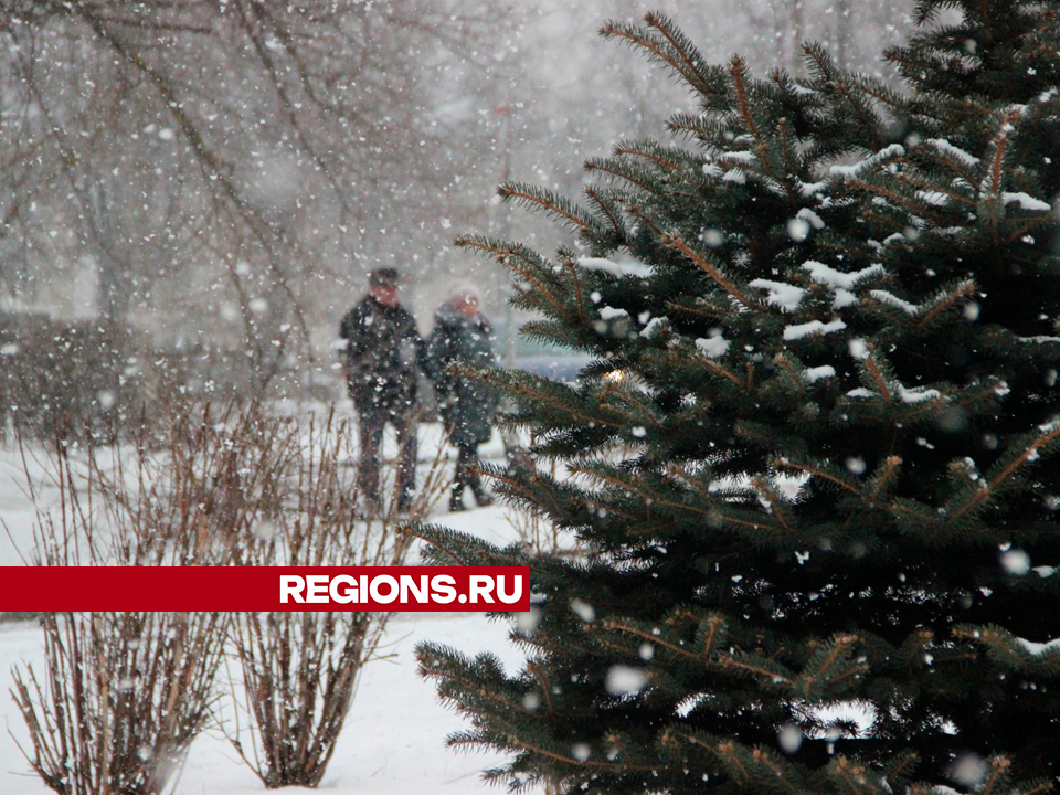 Егорьевцам пообещали снег до позднего вечера четверга