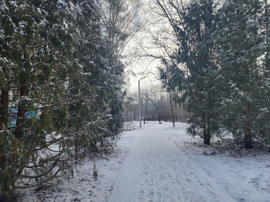 В парке «Изумрудный остров» обустроят зону отдыха с лавочками в 2025 году