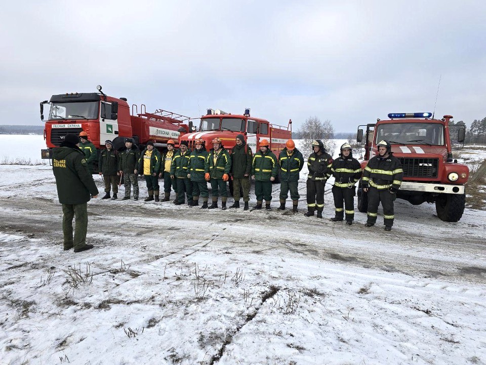 В Луховицах провели учения по тушению лесных пожаров с участием МЧС