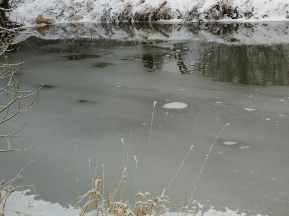 Спасатели: легкий мороз не сделал лед на чеховских водоемах толще