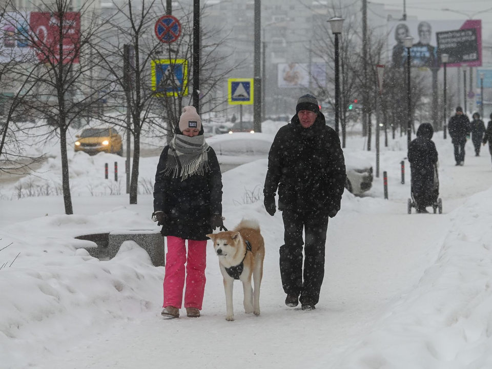 Снег и морозы вернутся в Подмосковье в конце февраля