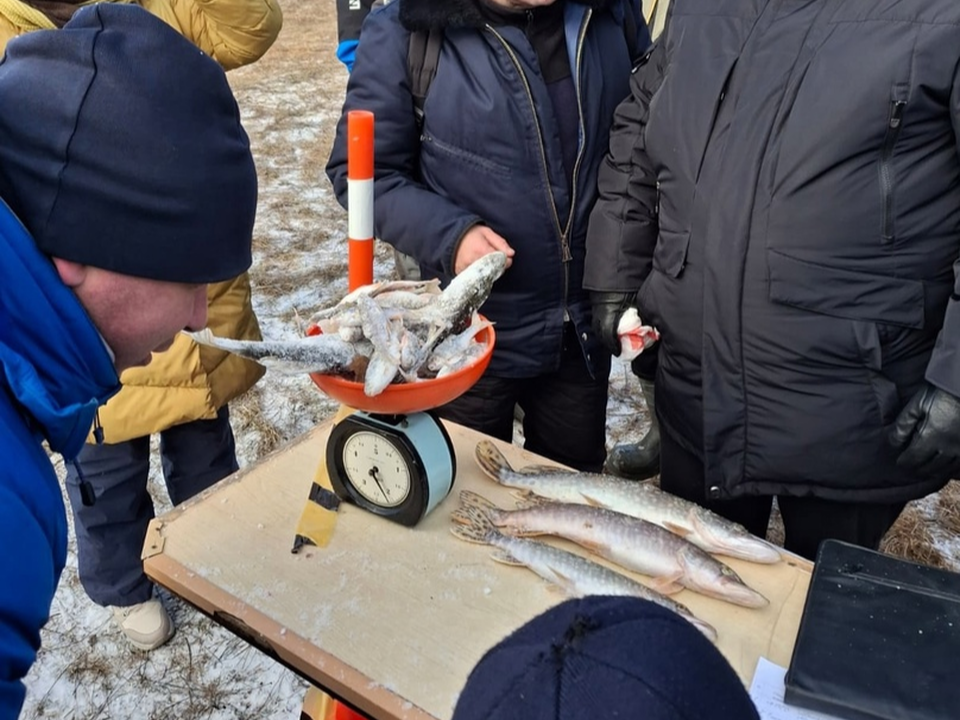 Щуку весом более двух кило поймали на соревнованиях по зимней рыбалке в Коломне